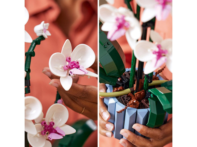 LEGO Icons 10311 Orchidee