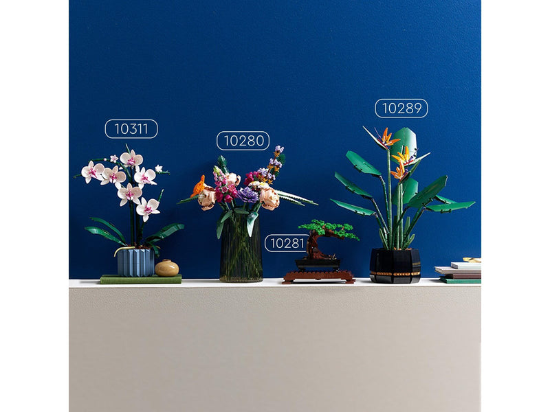 LEGO Icons 10311 Orchidee