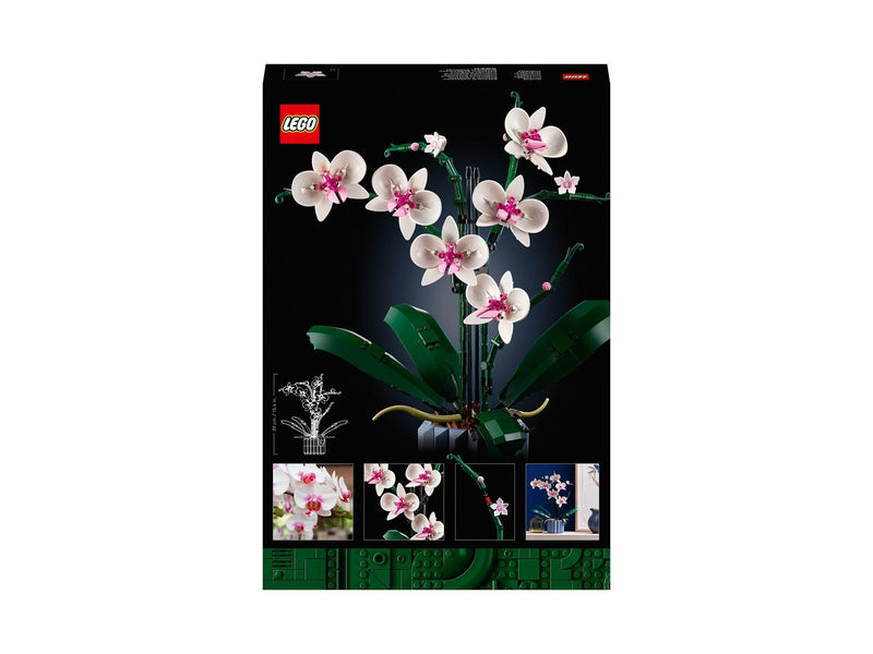 LEGO Icons 10311 Orchidee