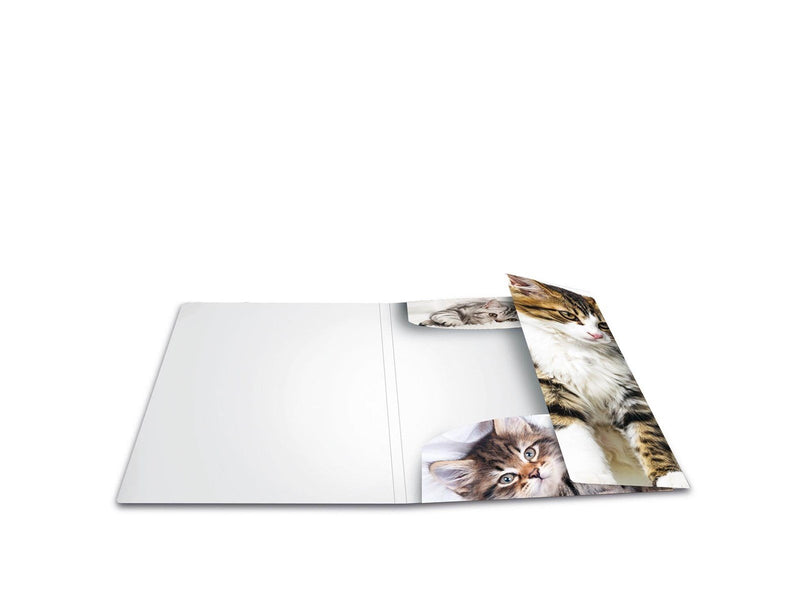 HERMA Elasticated folder A3 PP Cats