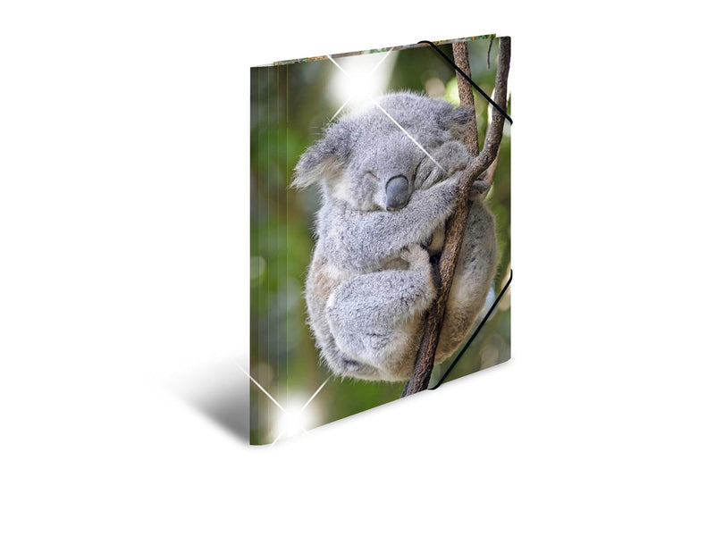 HERMA Sammelmappe A4 Glossy Koala Polypropylen