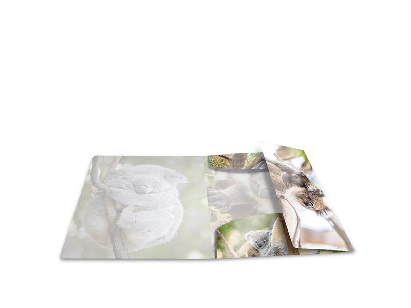 HERMA Sammelmappe A4 Glossy Koala Polypropylen