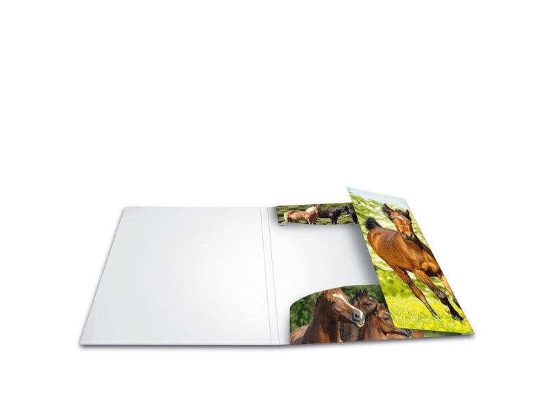 HERMA Elasticated folder A4 PP Horses