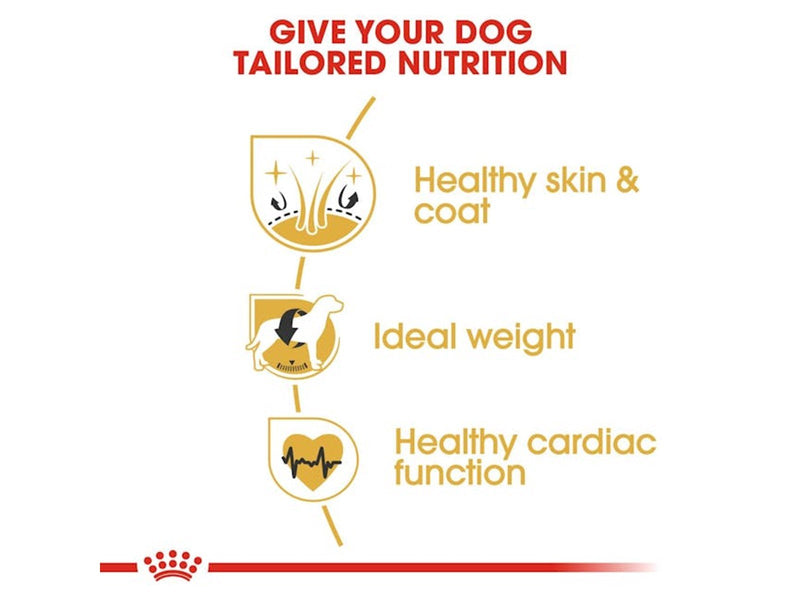 Royal Canin Cocker Adult 12kg