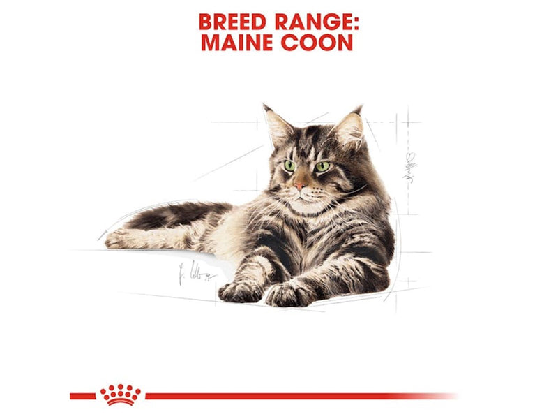 Royal Canin Maine Coon Adult 10kg