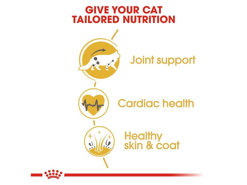 Royal Canin Maine Coon Adult 10kg