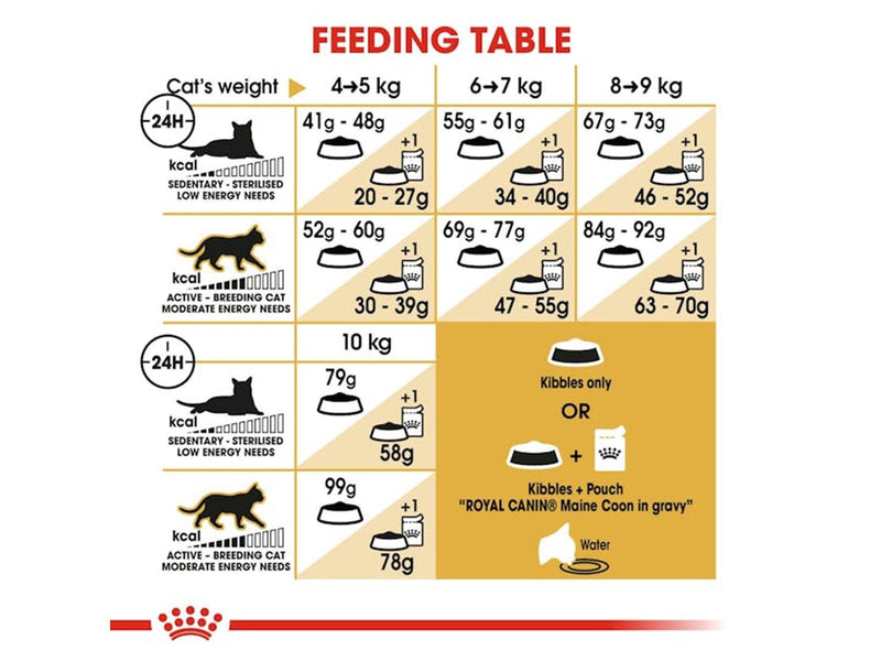 Royal Canin Maine Coon Adult 10kg