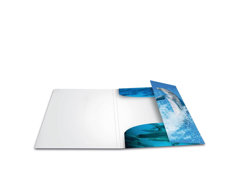 HERMA Elasticated folder A3 PP Dolphin