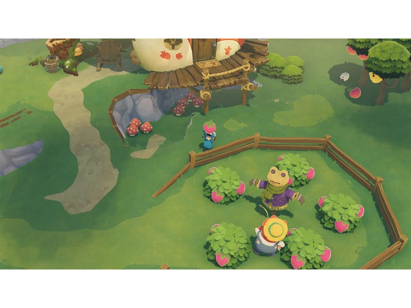 Time on Frog Island - Nintendo Switch - Abenteuer - PEGI 3