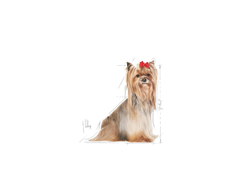 Royal Canin Yorkshire Terrier 8+ 3kg