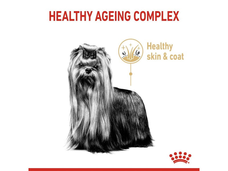 Royal Canin Yorkshire Terrier 8+ 3kg