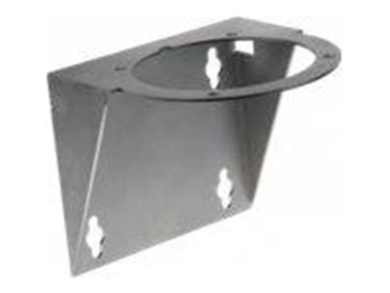 Axis camera mount
