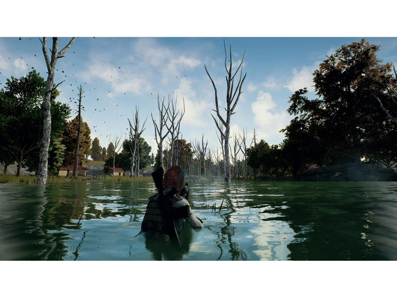 PlayerUnknown's Battlegrounds - Sony PlayStation 4 - FPS - PEGI 16