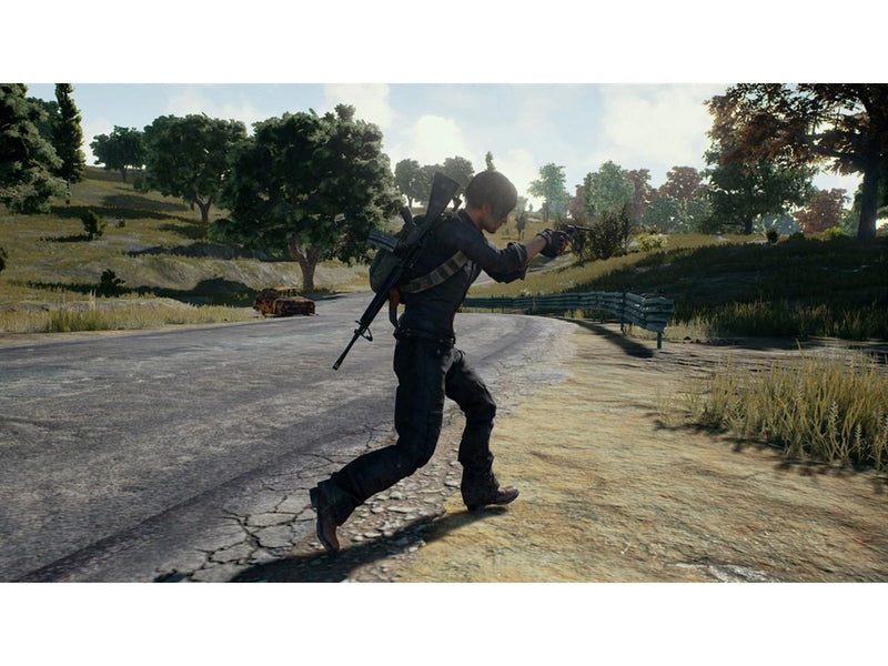 PlayerUnknown's Battlegrounds - Sony PlayStation 4 - FPS - PEGI 16