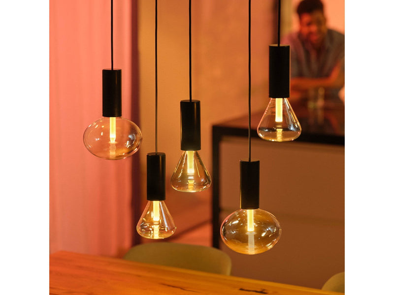 Philips Hue Lightguide Cord E27 Black