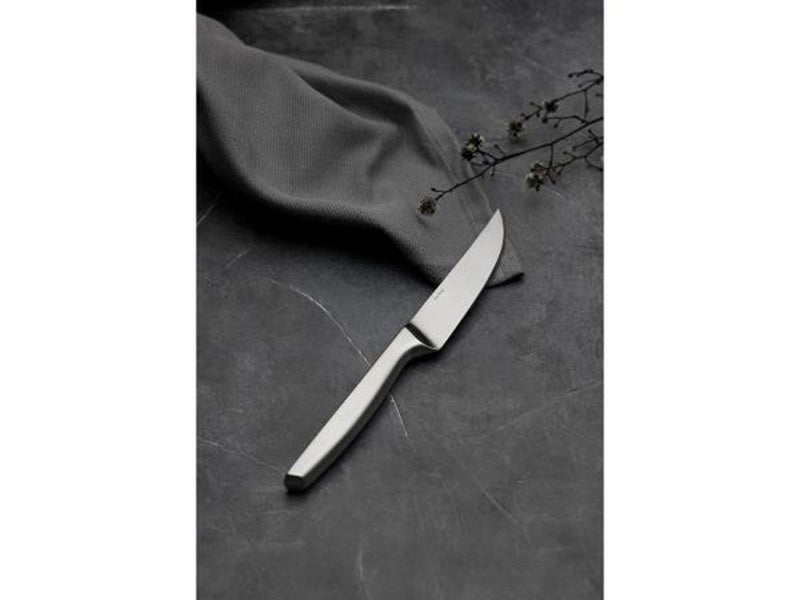Gense Steak knife Norm 4 pcs. Matt steel