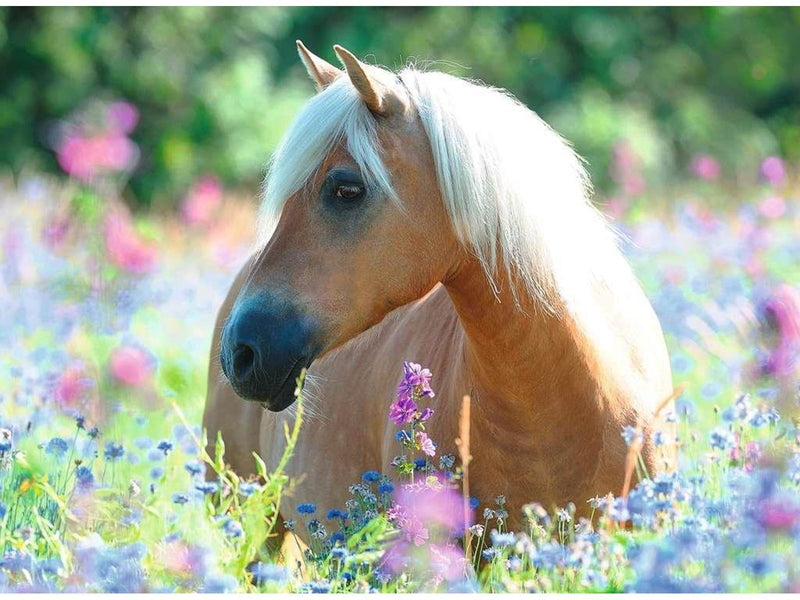 Ravensburger Wildflower Pony 300pcs