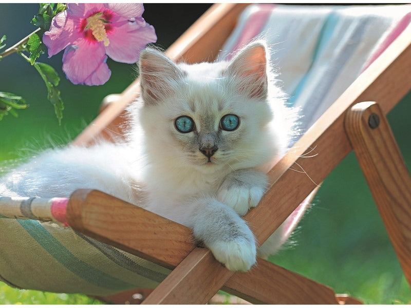 Ravensburger Deckchair Kitten 200pcs