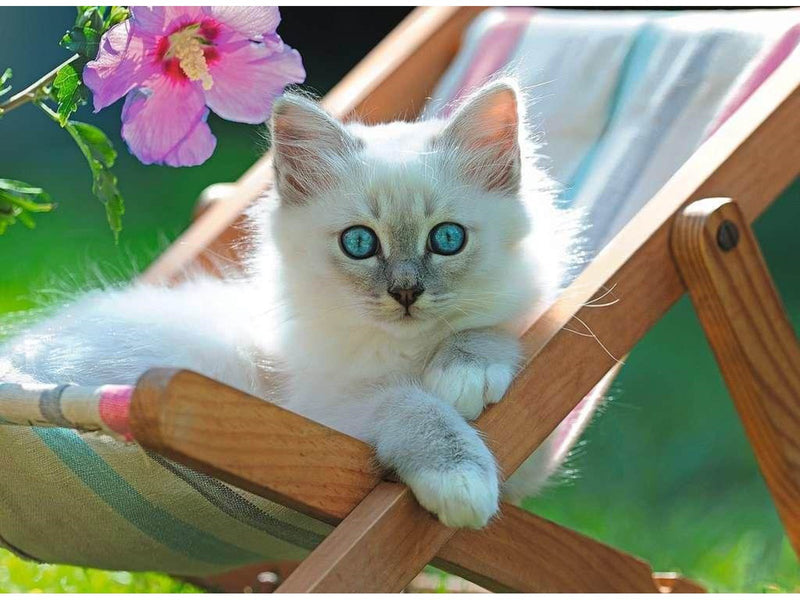 Ravensburger Deckchair Kitten 200pcs