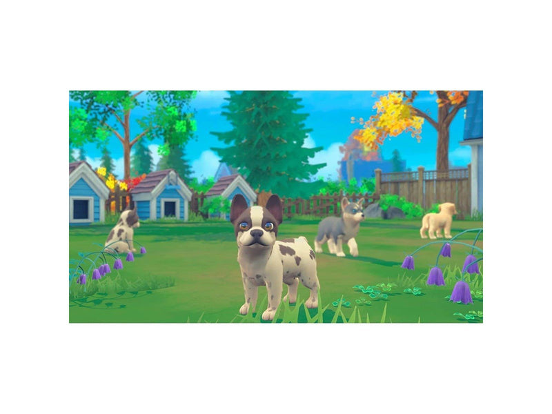 My Universe: Pets Edition Bundle - Nintendo Switch - Virtual Pet - PEGI 3