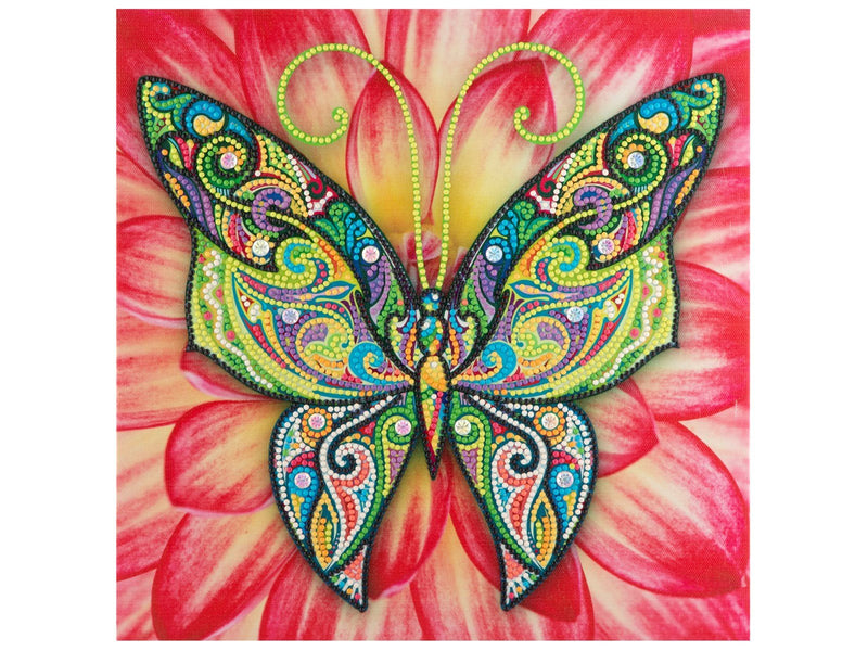 Grafix Diamond Painting on Canvas Butterfly 30 x 30 cm