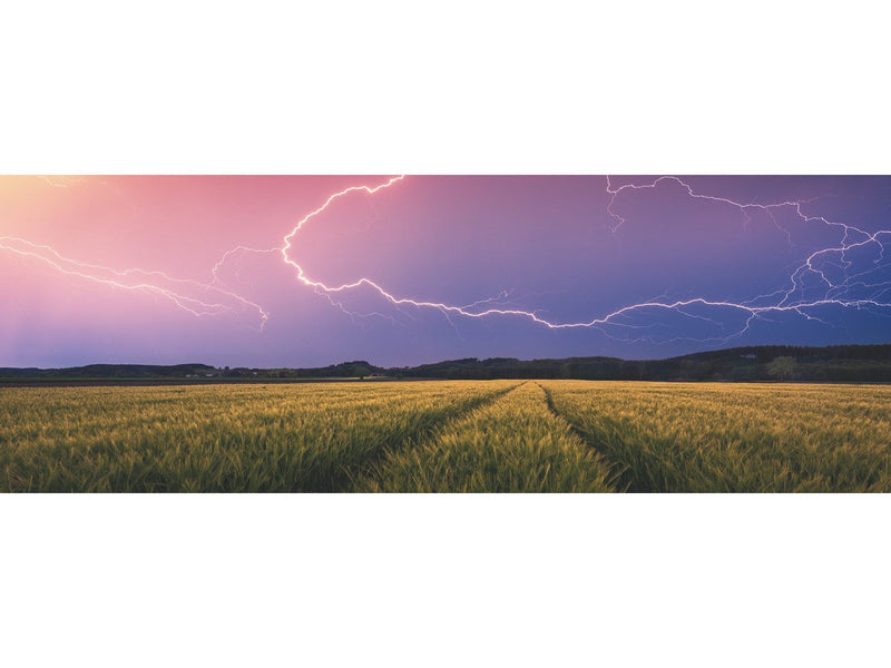 Ravensburger Sommergewitter