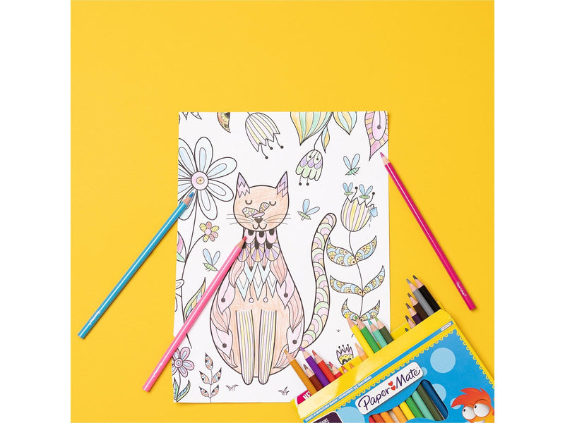 Paper Mate Kinder-Buntstifte | Vorgespitzte Buntstifte | Verschiedene Farben | 12 zählen