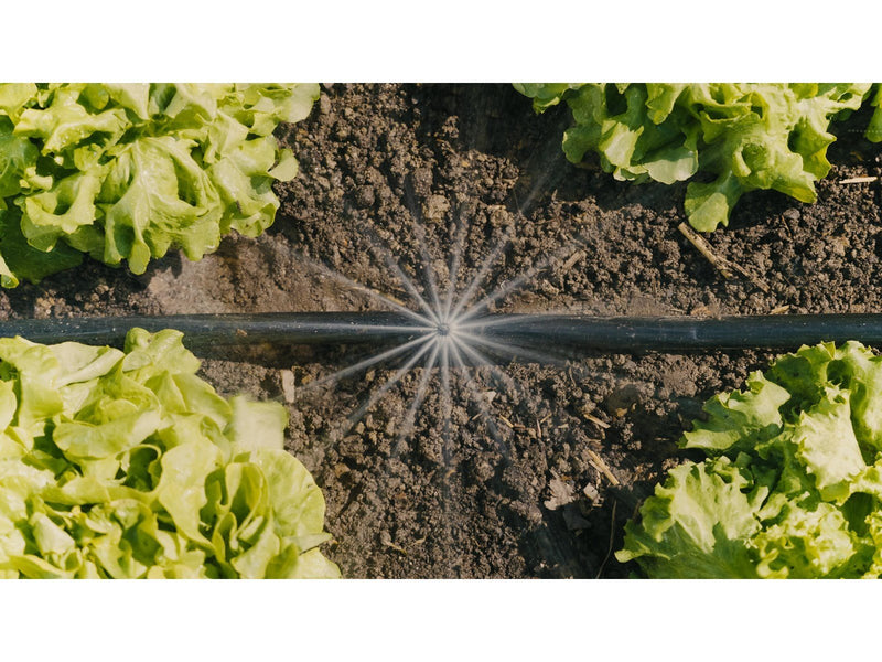 Gardena Tropfbewässerung Set Gemüse-/Blumenbeet (60 m²)