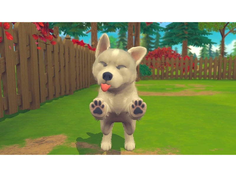 My Universe - Puppies and Kittens (Code in a Box) - Nintendo Switch - Virtual Life - PEGI 3