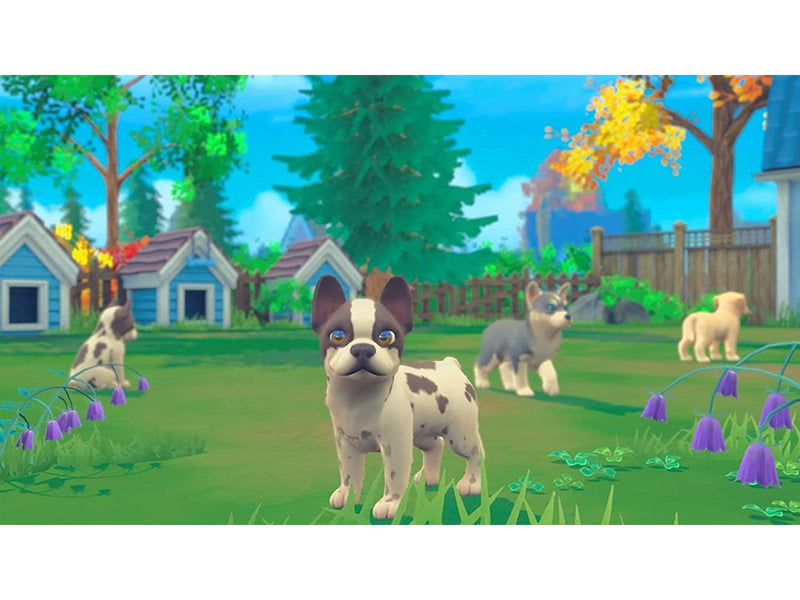 My Universe - Puppies and Kittens (Code in a Box) - Nintendo Switch - Virtual Life - PEGI 3