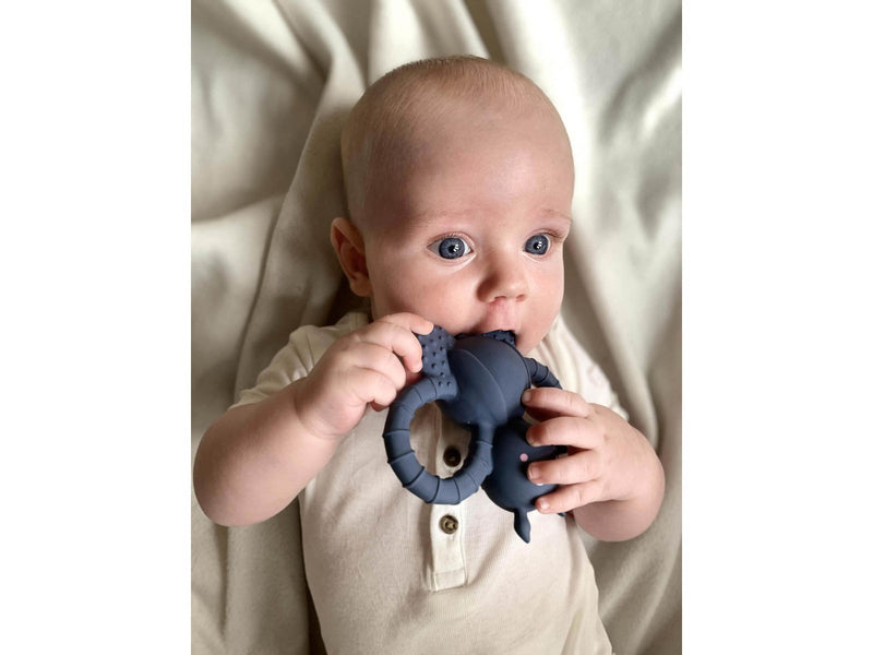 Filibabba Teether - Felix the fly rubber - muddly blue