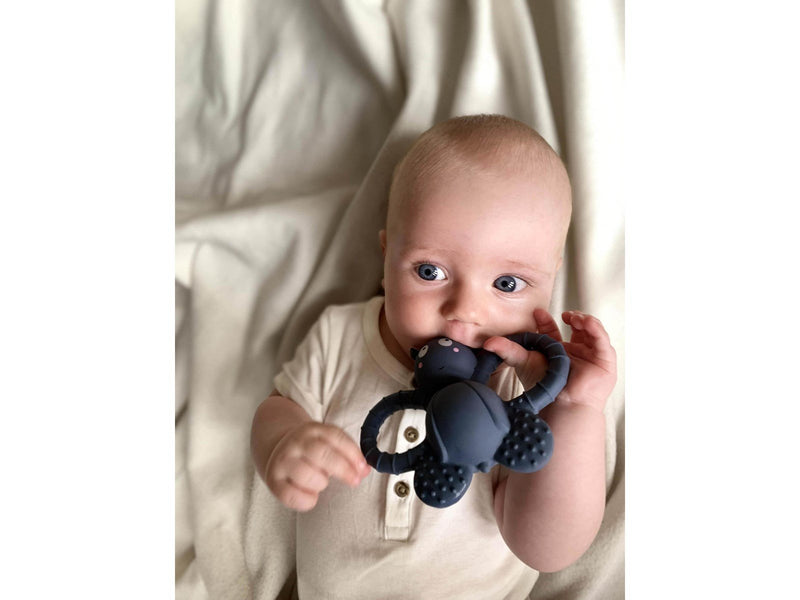 Filibabba Teether - Felix the fly rubber - muddly blue