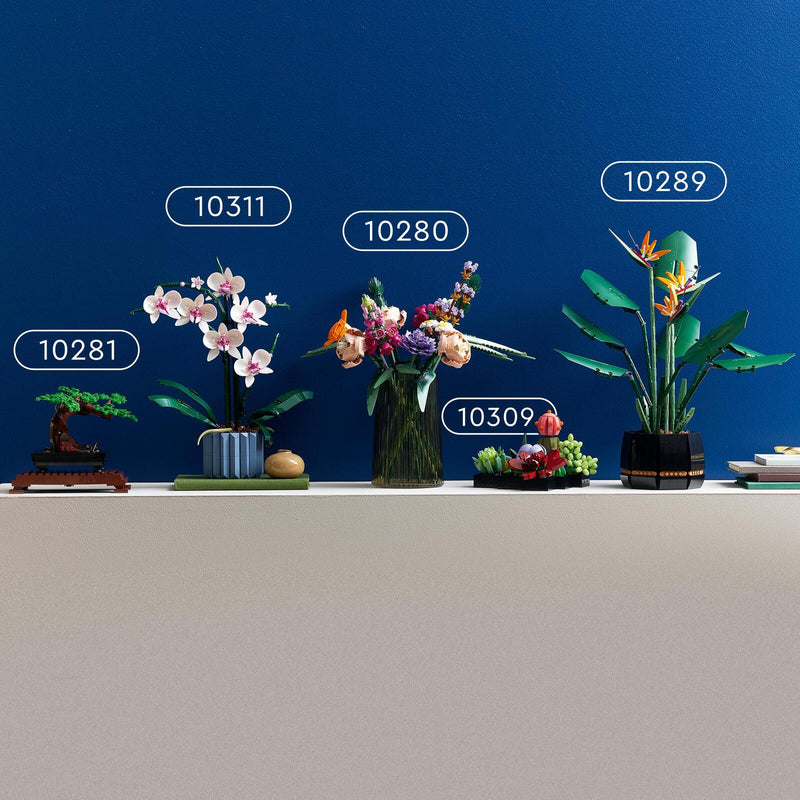 LEGO® Creator Expert - Sukkulenten