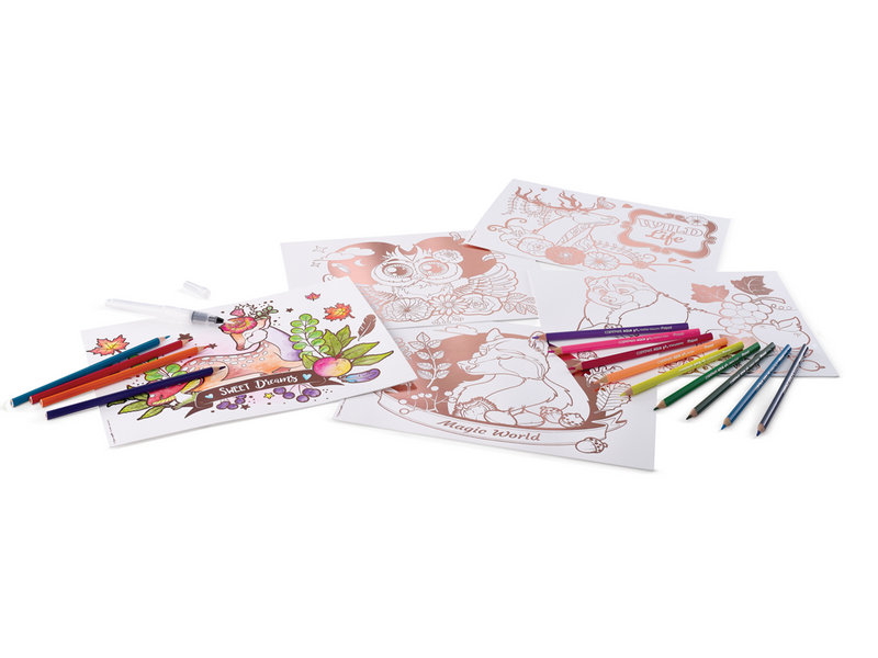 Maped Creativ Aqua Art - Maxi set.. Contents 5 sheets 18 colour pencils and 1 brush