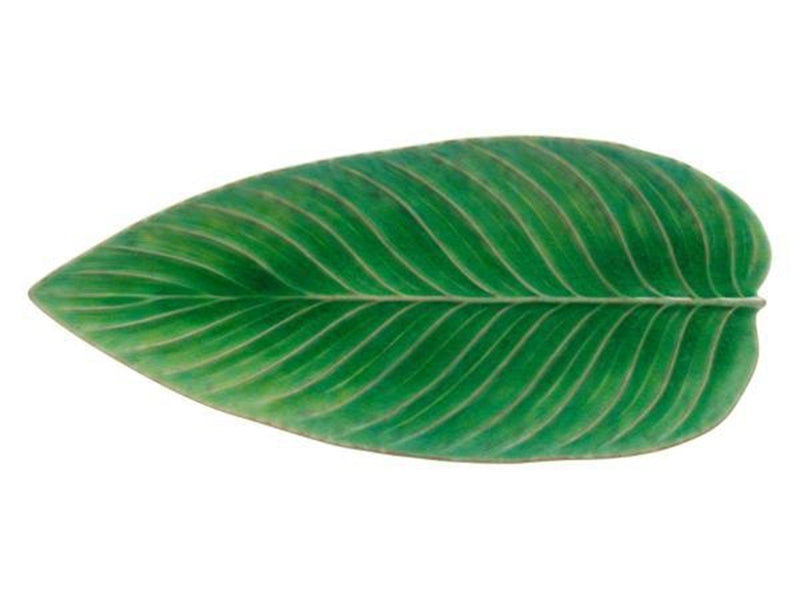 Costa Nova Serving dish oblong leaf Riviera 40 x 17 cm Green/Black