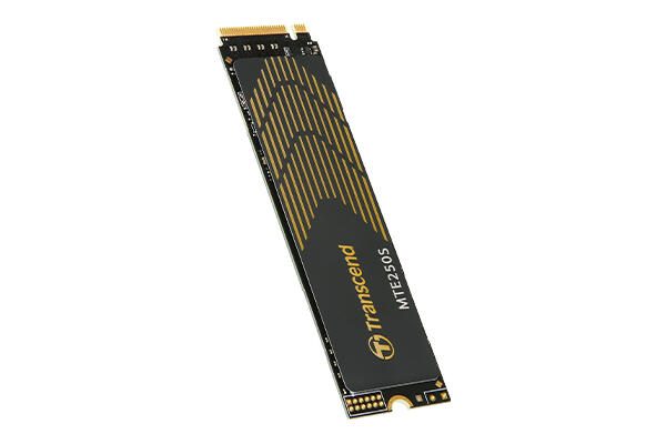 Transcend MTE250S M.2 SSD - 1 TB