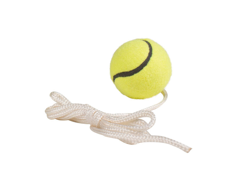 My Hood Extra Ball for Pole Tennis