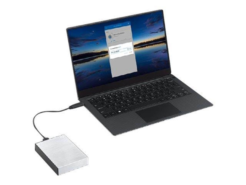 Seagate One Touch - Extern Festplatte - 1TB - Silber