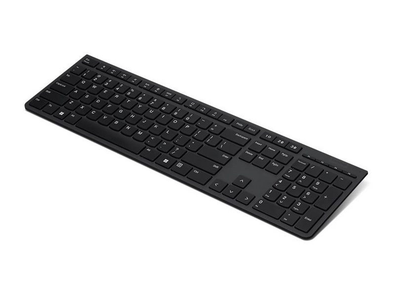 Lenovo Professional - Tastaturen - Nordisch - Grau