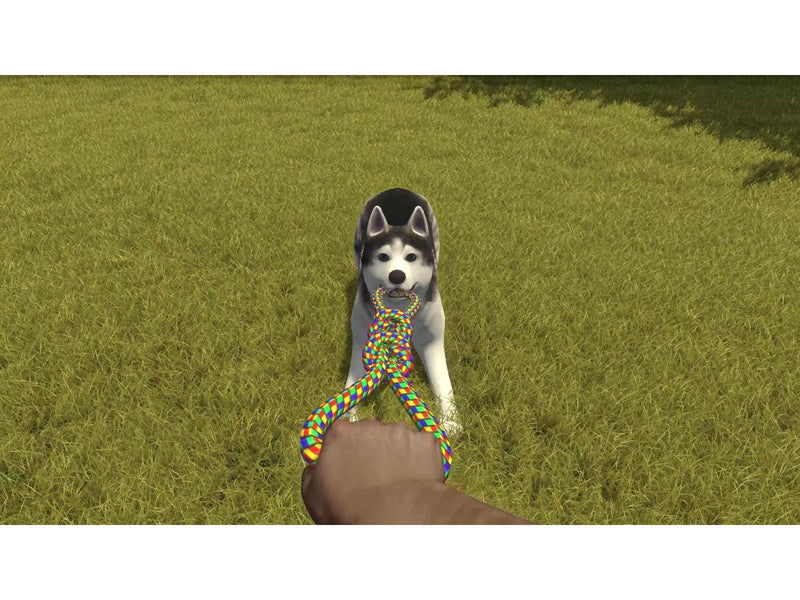 House Flipper - Pets Edition - Sony PlayStation 4 - Simulation - PEGI 3