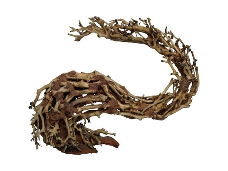 4FISH Dragonhead tree roots 22x10x15 cm