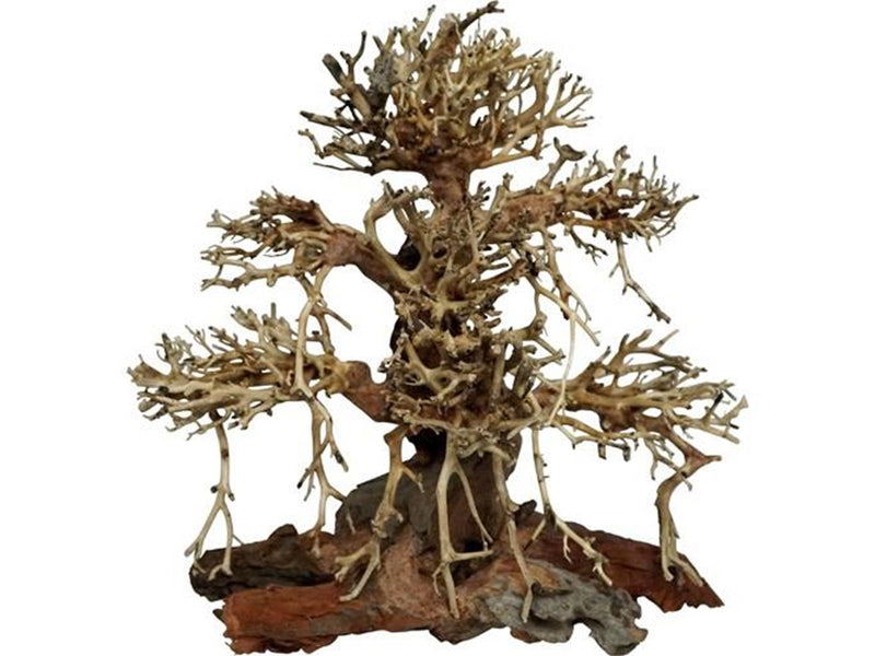 4FISH Tree roots Old Bonsai 40x20x40 cm