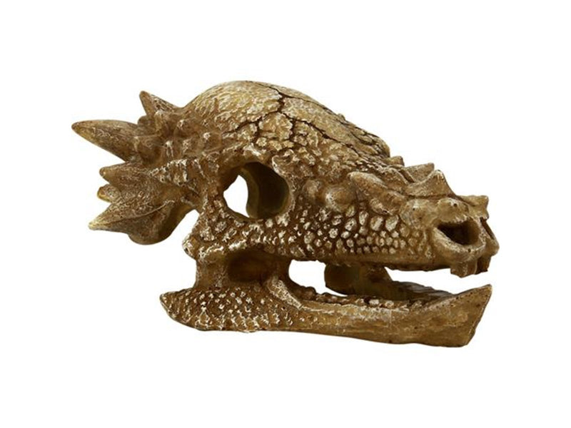 4FISH Skull 15.3x11x7.5 cm