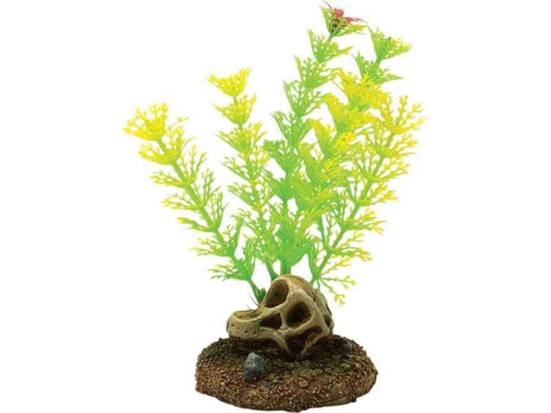4FISH Skull and plants 6.5x6.3x13.3 cm