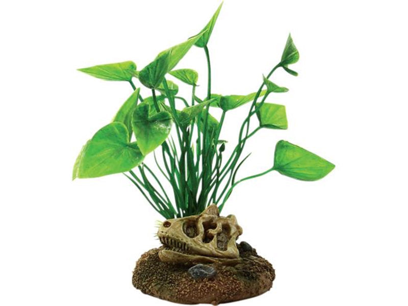 4FISH Skull and plants 6.5x6.3x12 cm