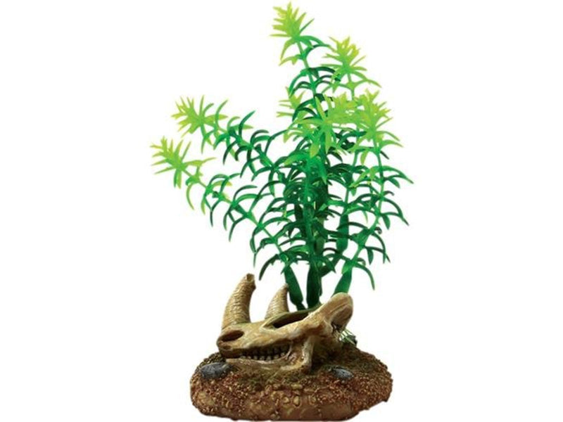 4FISH Skull and plants 6.5x6.3x11.5 cm