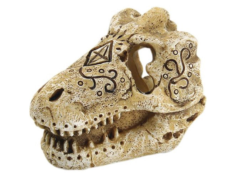 4FISH Skull 7.8x5.3x5.7 cm