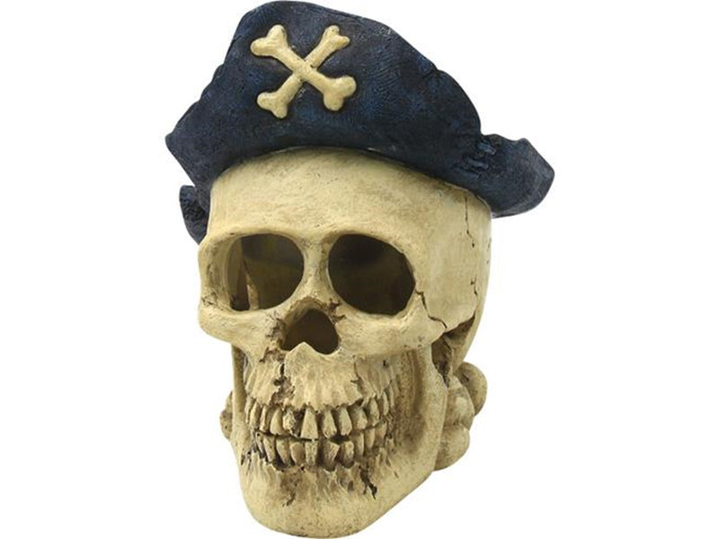 4FISH Skull with pirate hat 16x13x15.8 cm
