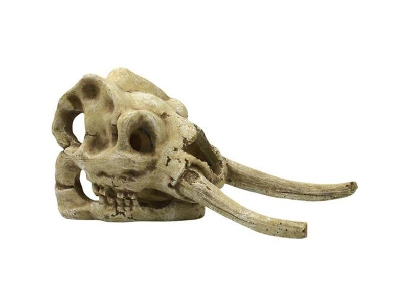 4FISH Skull 23.5x12.1x11.8 cm
