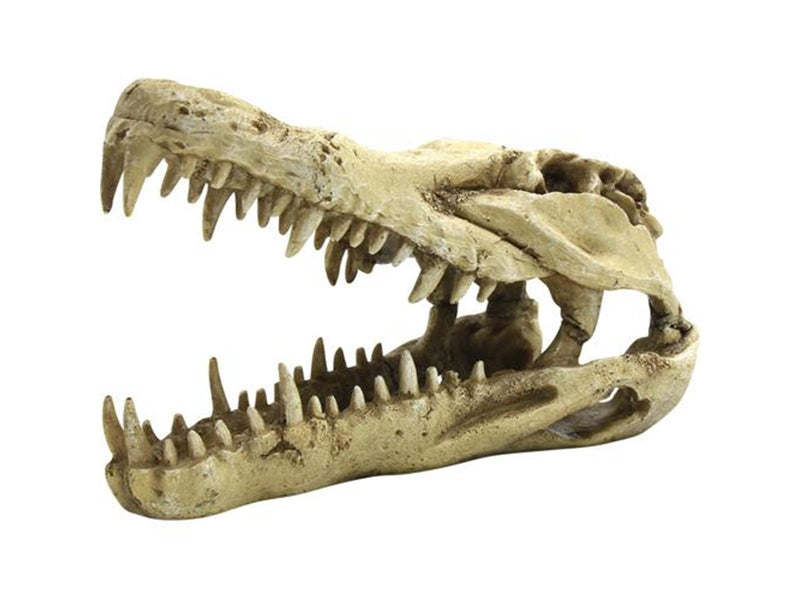 4FISH Skull 22x10.3x13 cm